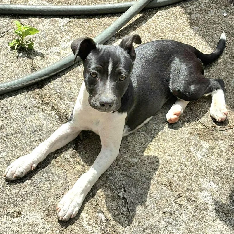 Daisy June "i Will thumbnail 4