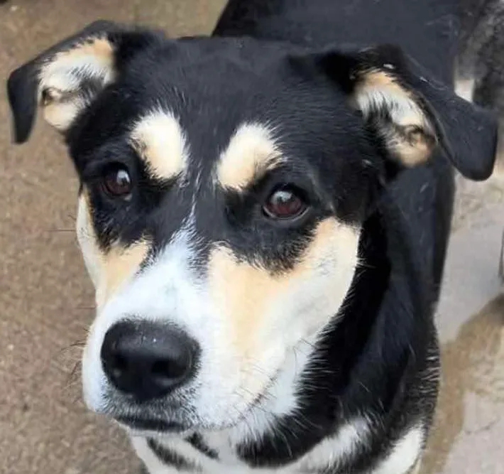 Karma Aka Yomi thumbnail 2