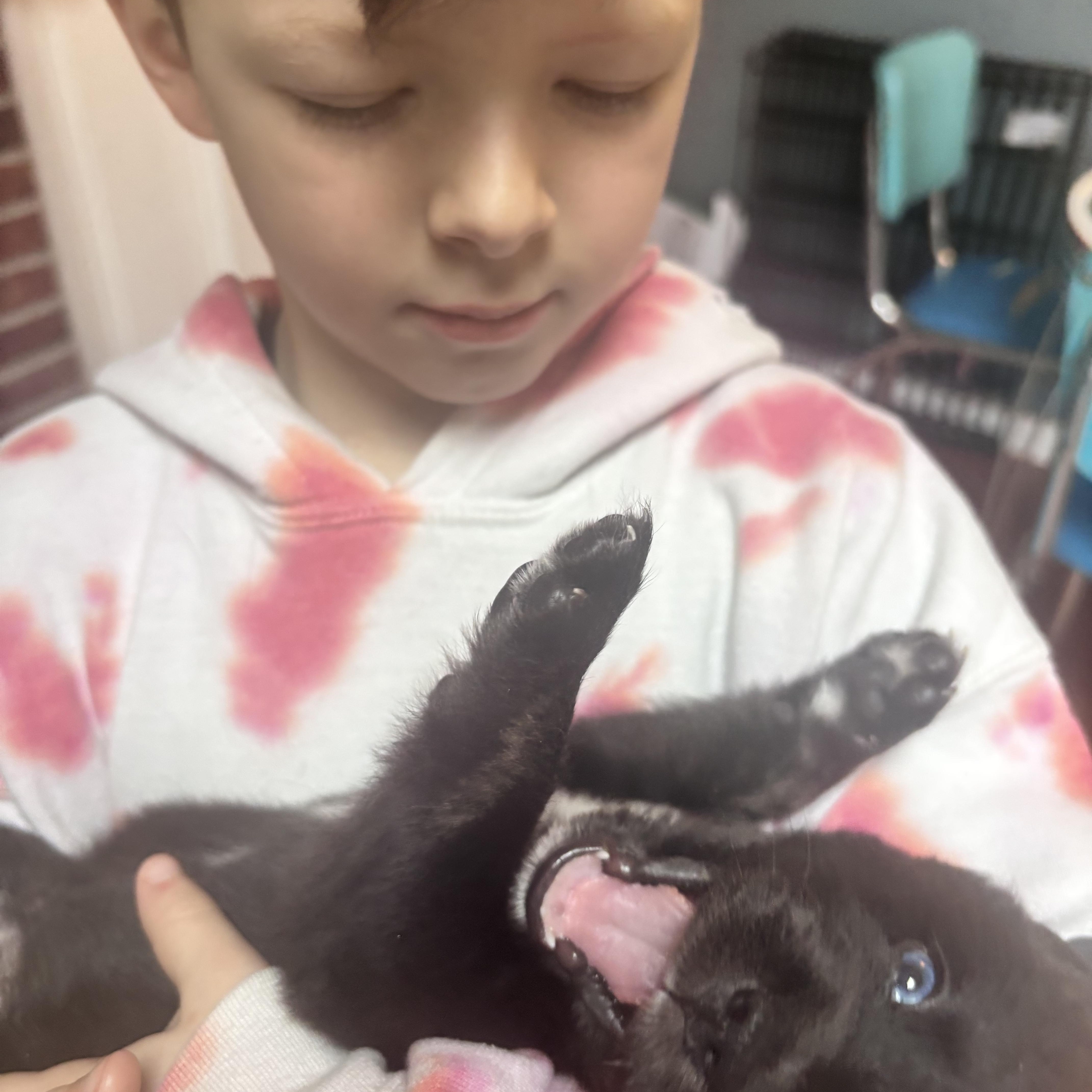 Puck Skates ~ Local thumbnail 2