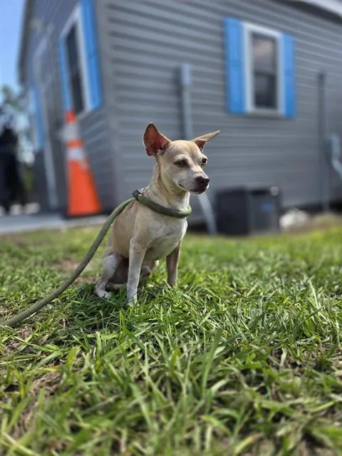 Spunky
