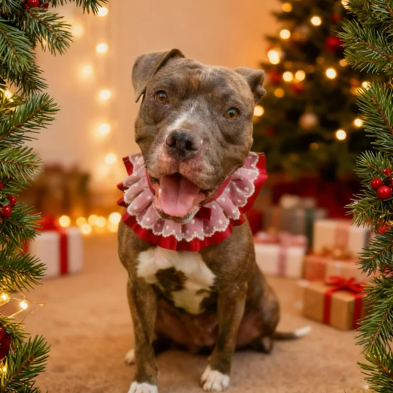 Samantha thumbnail 2