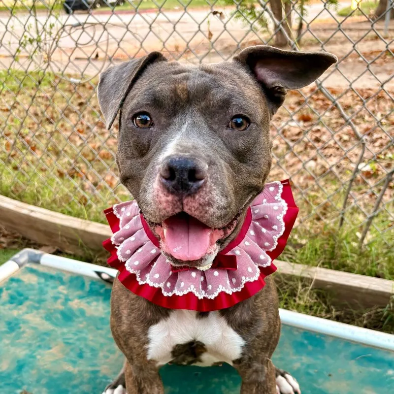 Samantha thumbnail 3