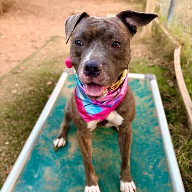 Samantha thumbnail 4