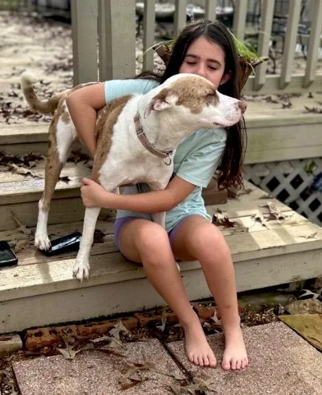 Kady Local thumbnail 2