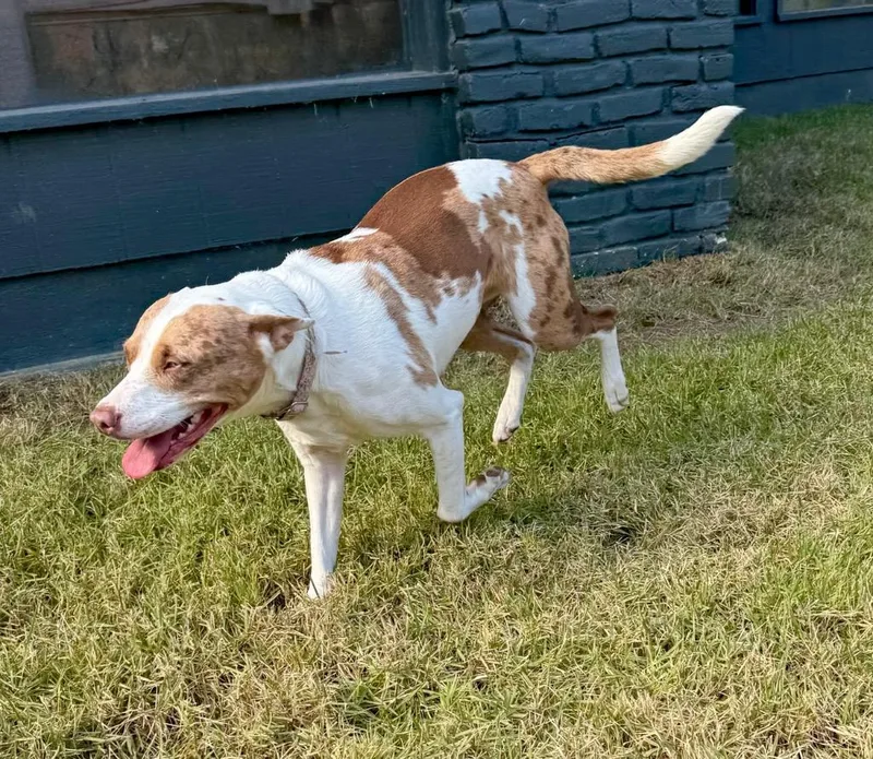 Kady Local thumbnail 3