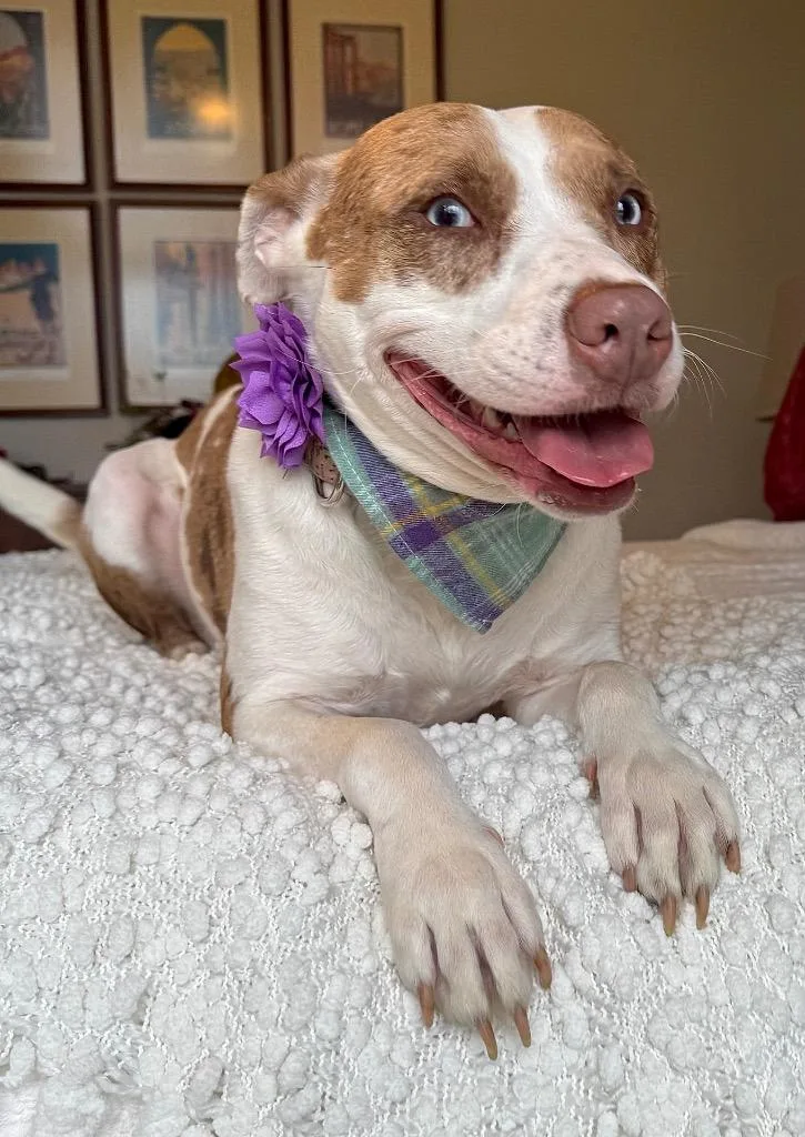 Kady Local thumbnail 5