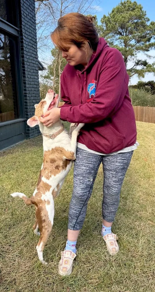 Kady Local thumbnail 6