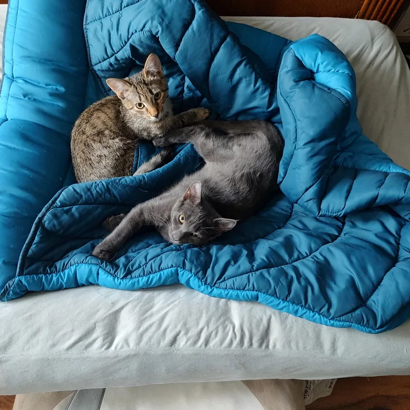 Kaycee And Tagger thumbnail 3