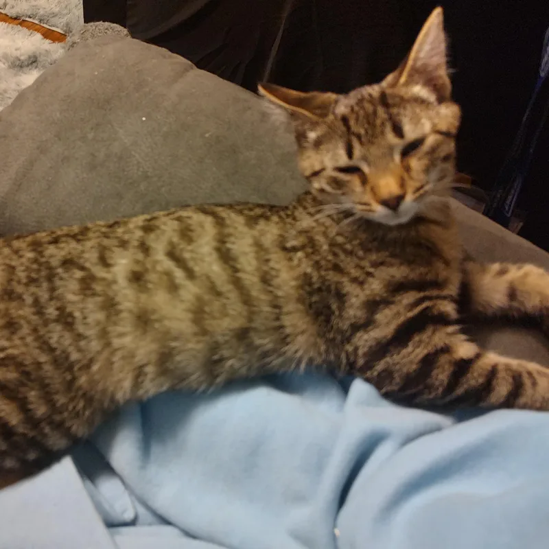 Kaycee And Tagger thumbnail 4