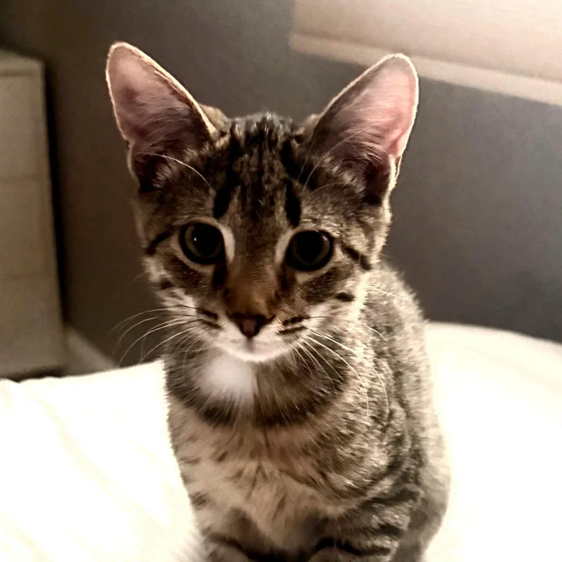 Kaycee And Tagger thumbnail 5