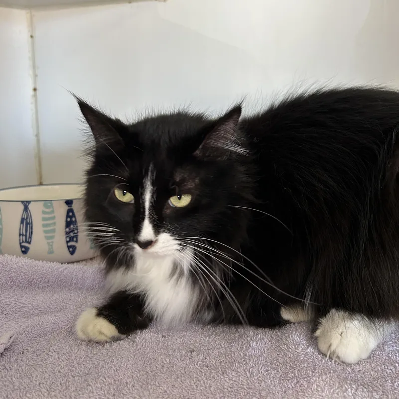 Teddy & Kate Pierce thumbnail 2