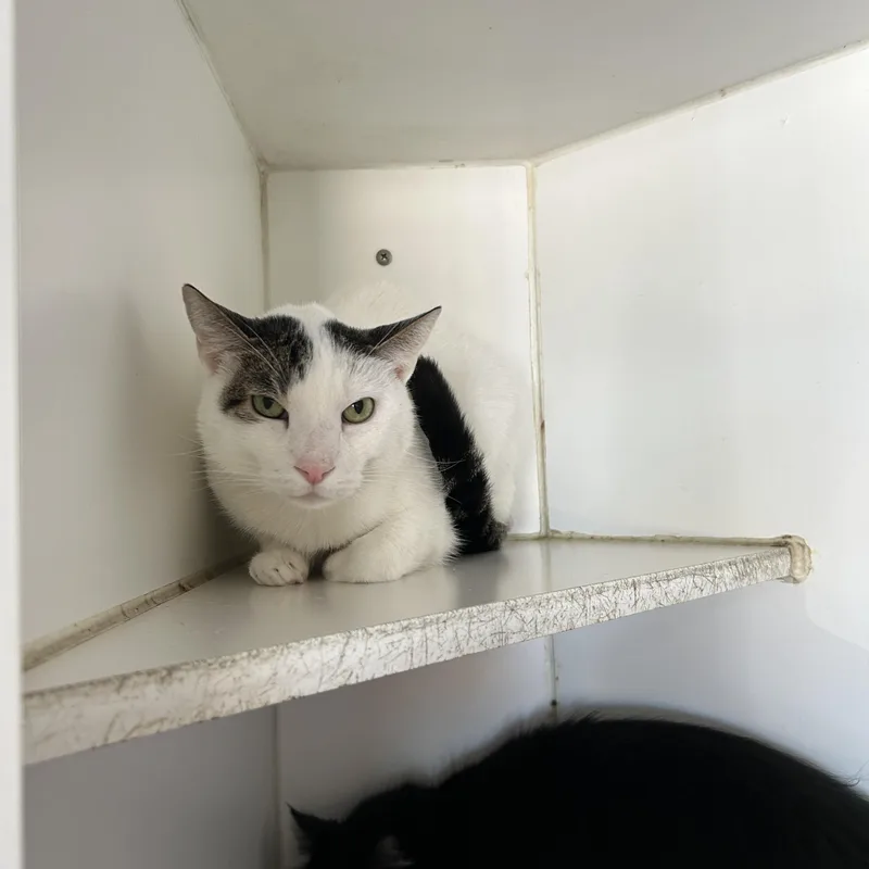 Teddy & Kate Pierce thumbnail 3