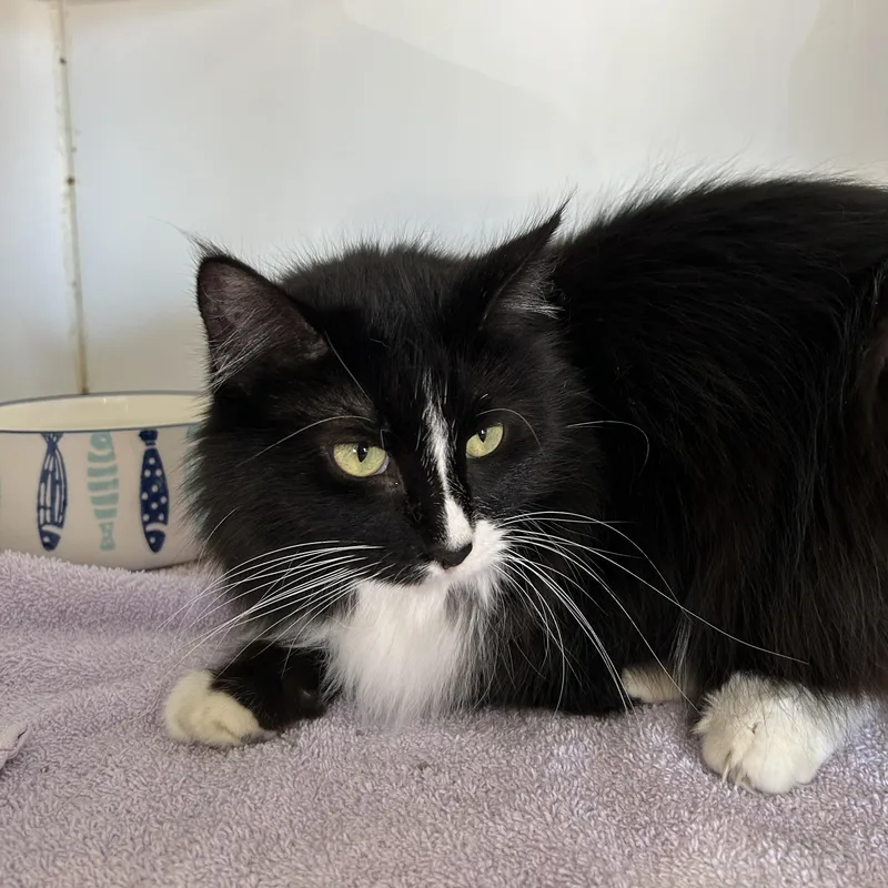 Teddy & Kate Pierce thumbnail 4