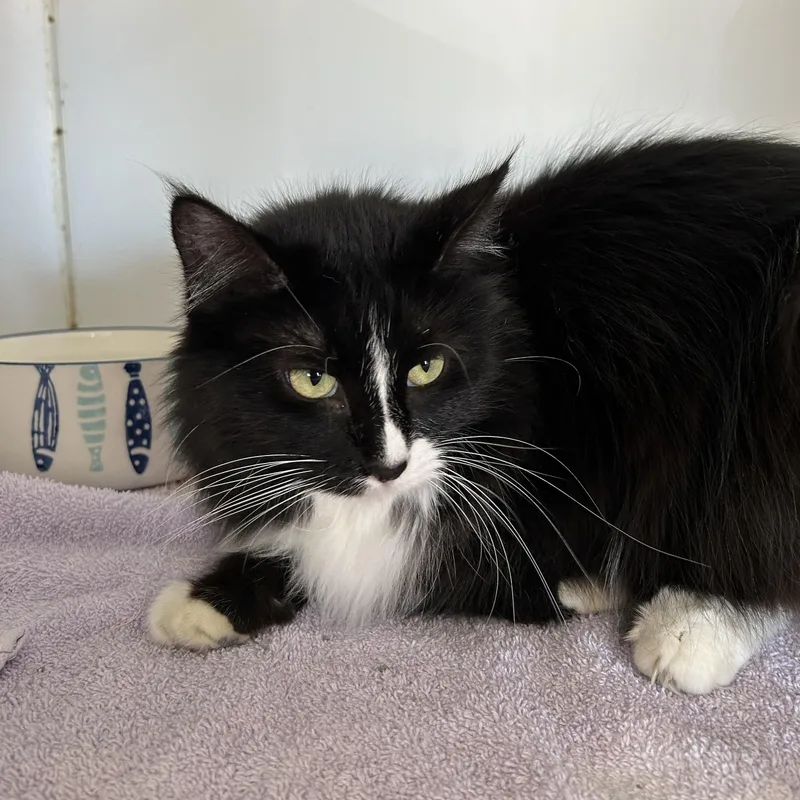 Teddy & Kate Pierce thumbnail 5