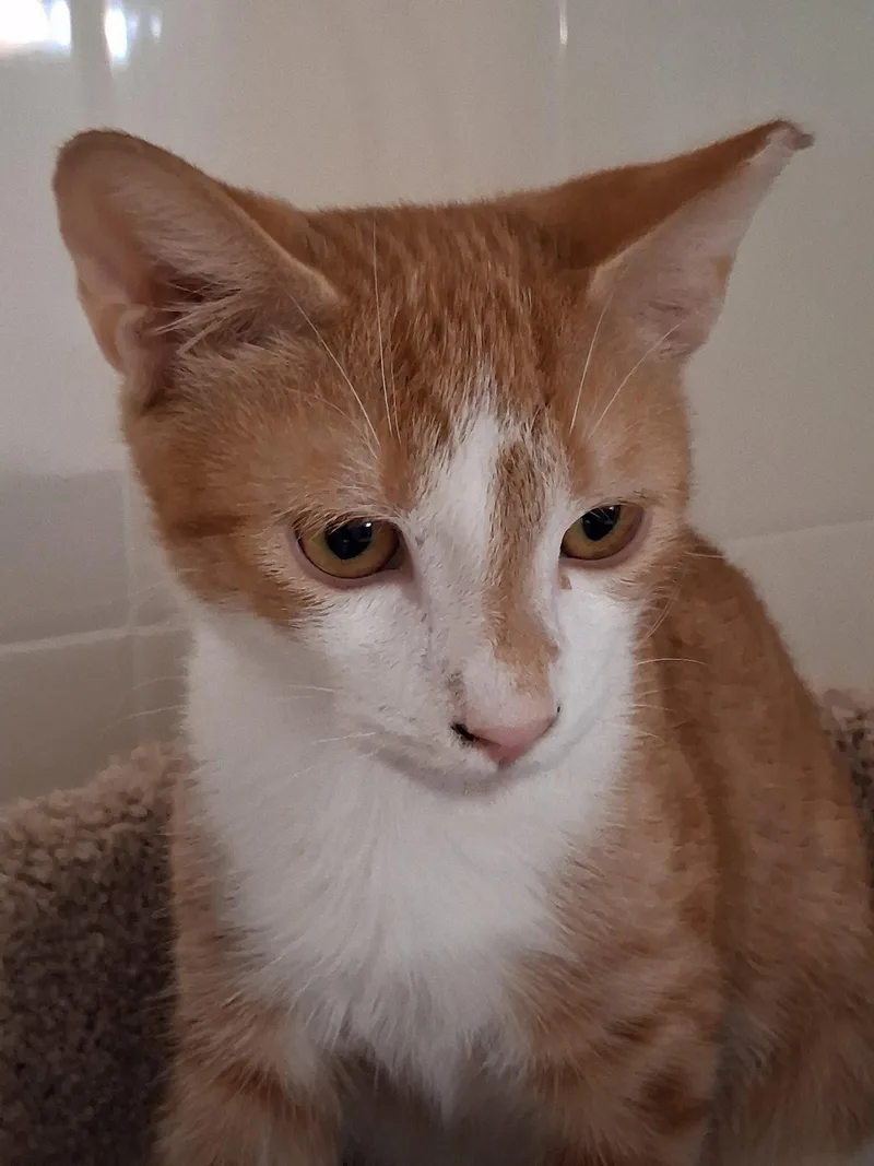 Walter thumbnail 3