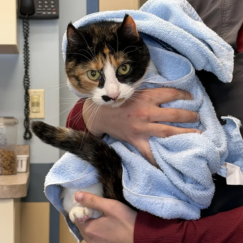 Sunshine☀️ thumbnail 3