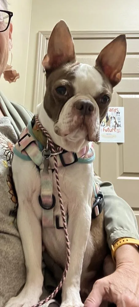 Ellie Mae Wilkens Memphis thumbnail 2