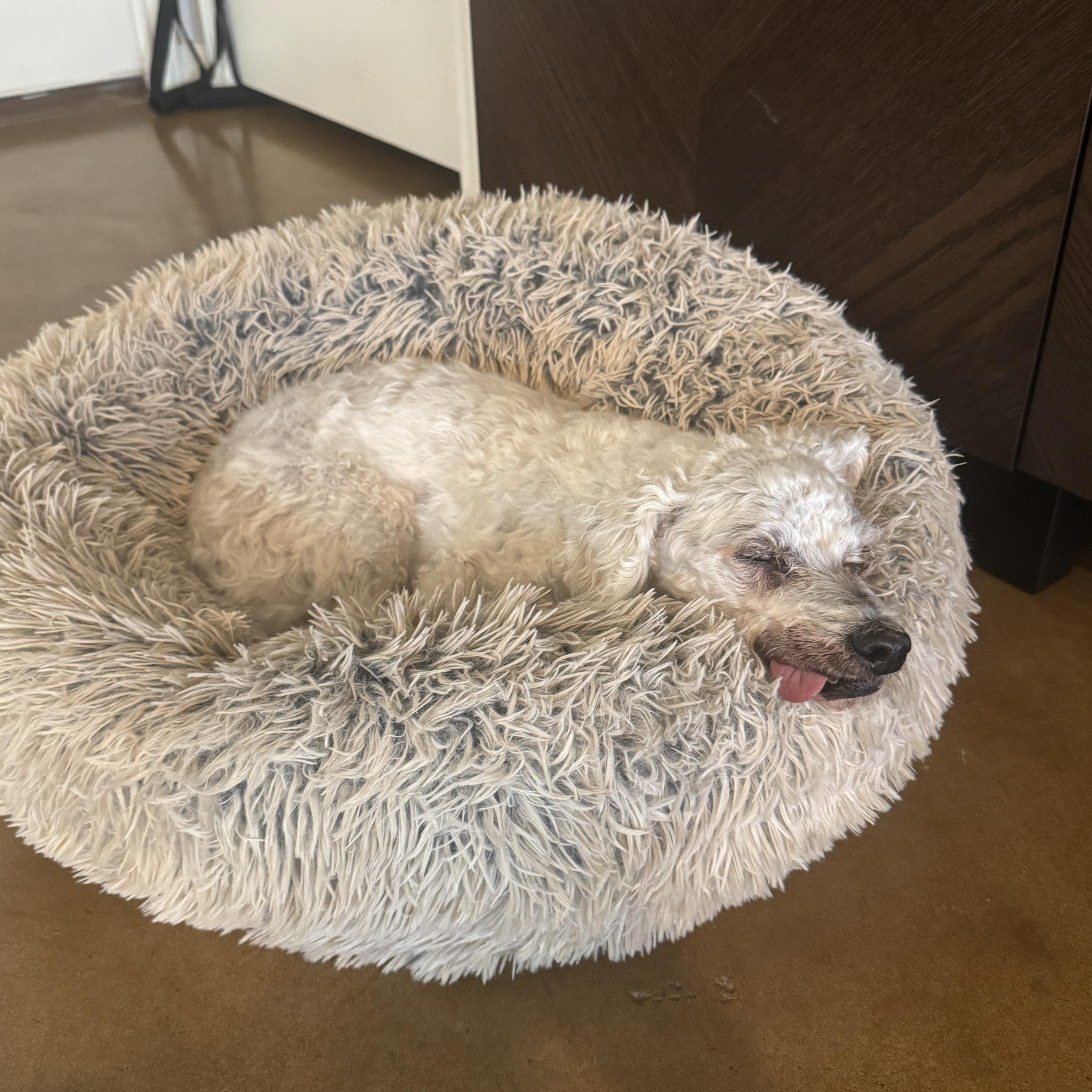 Dean Martin thumbnail 5