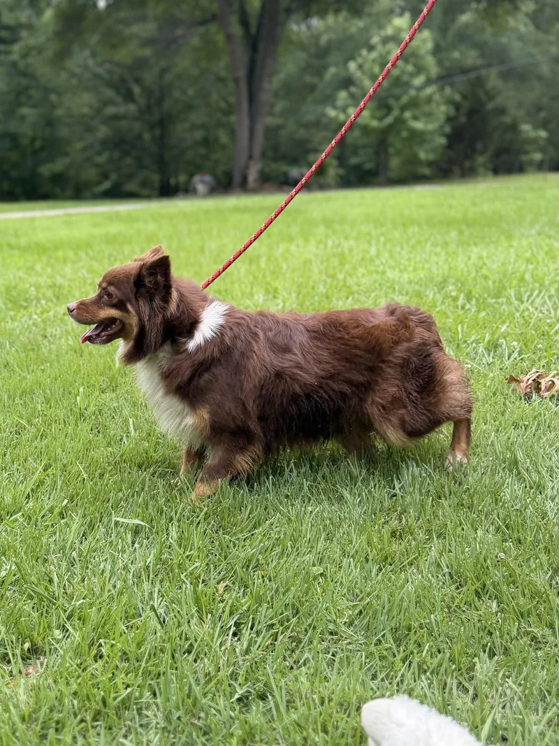 Kimmy Kibble thumbnail 2
