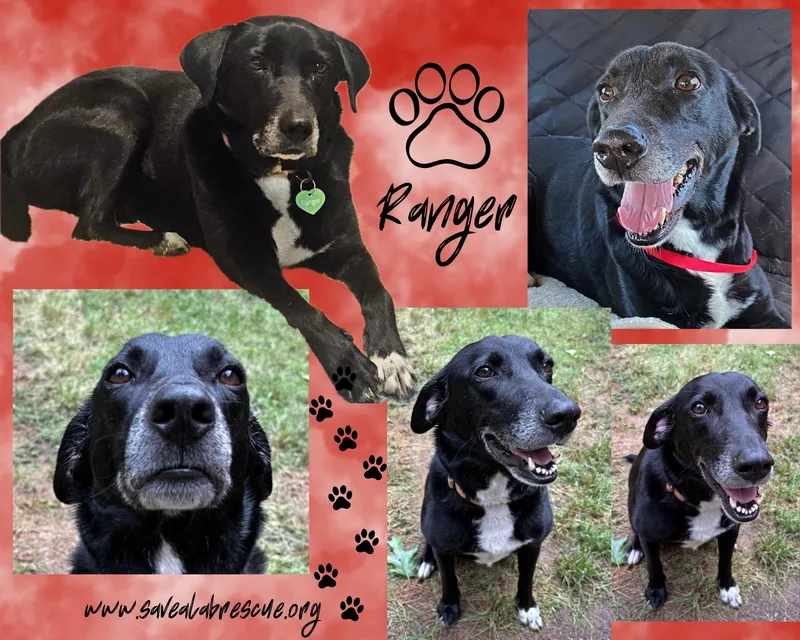 Ranger
