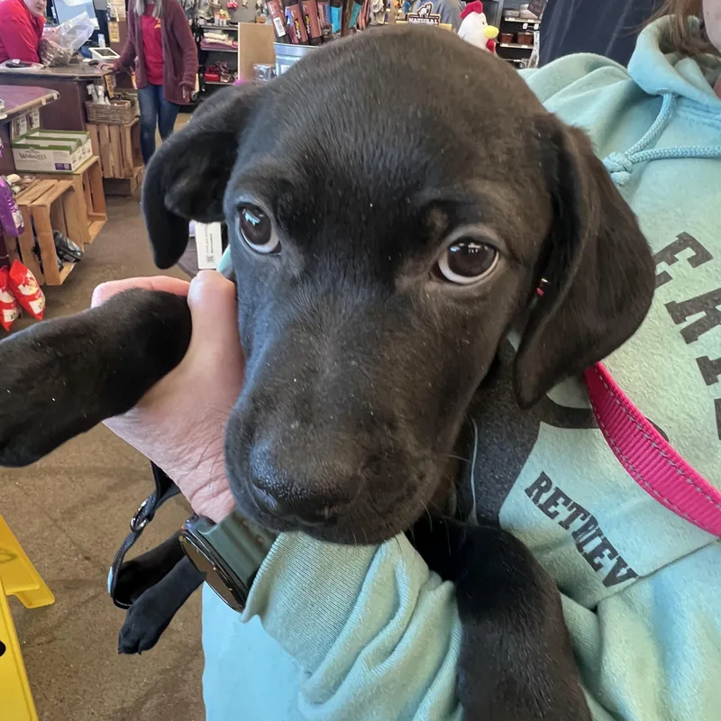 Ittynot Accepting Applications Yet! thumbnail 3