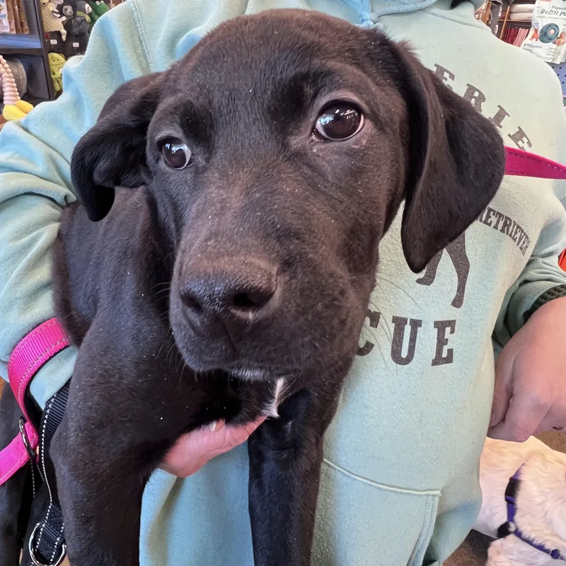 Ittynot Accepting Applications Yet! thumbnail 4