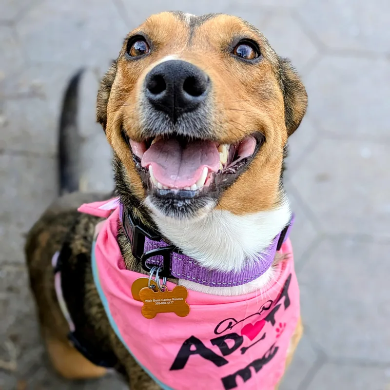 Kara Zorel thumbnail 2