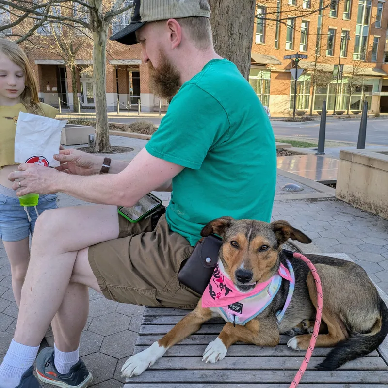 Kara Zorel thumbnail 3