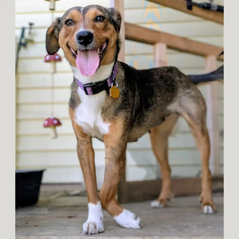 Kara Zorel thumbnail 5