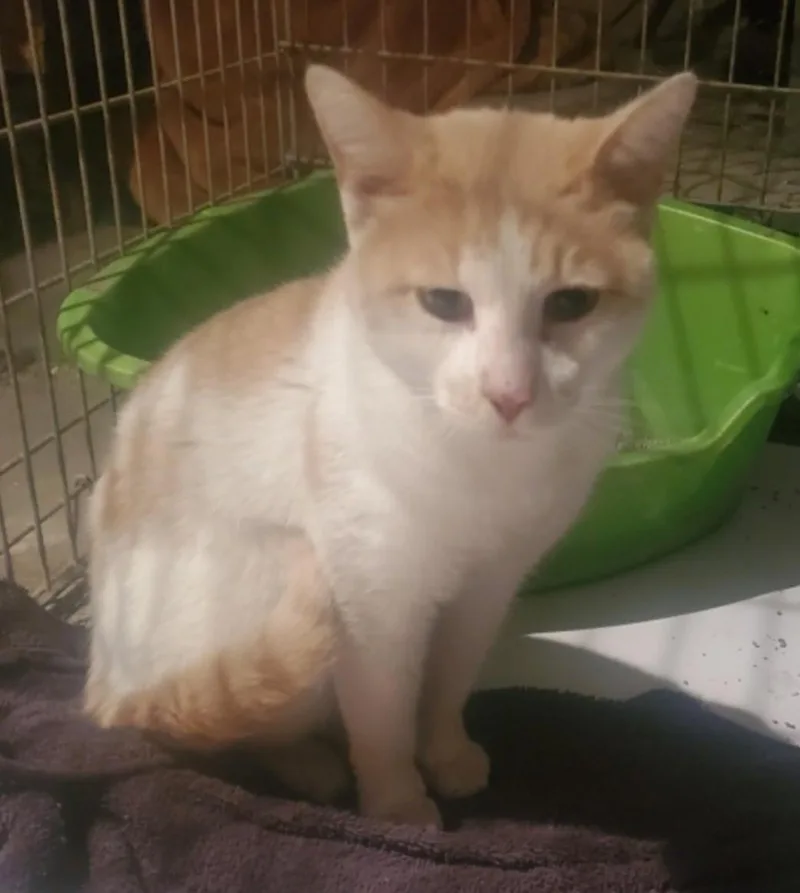 Sunny Boy thumbnail 4