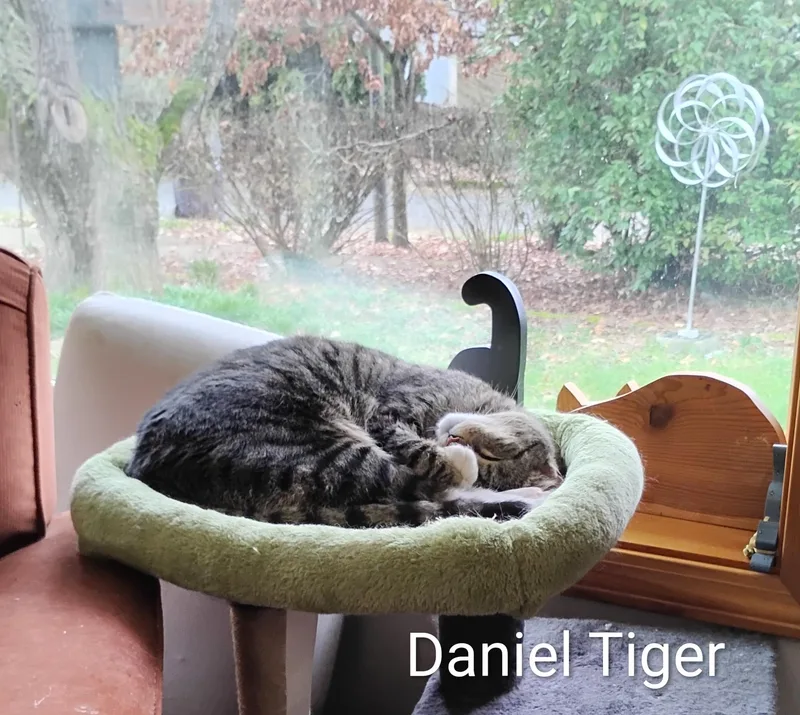 Daniel Tiger thumbnail 5