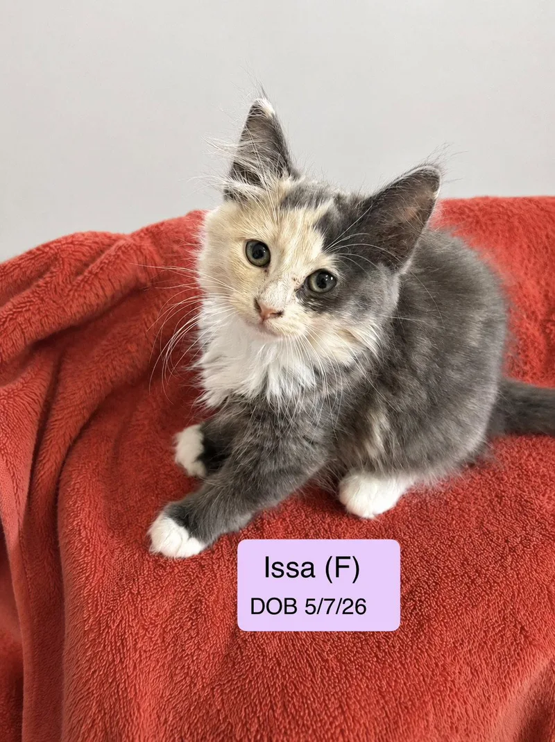 Issa