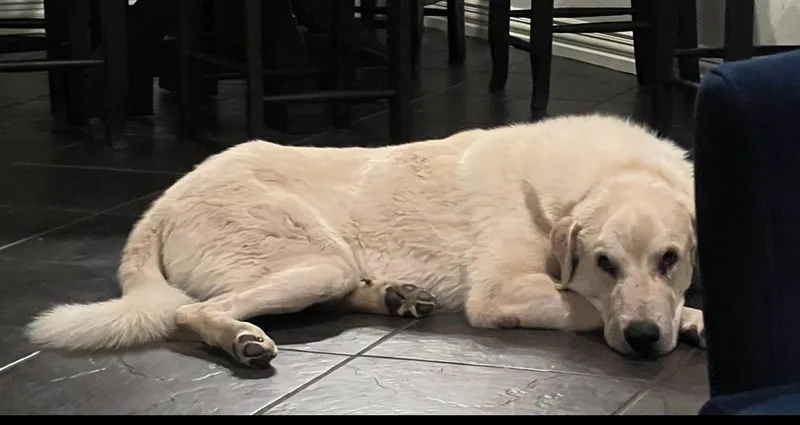 Charlie thumbnail 3