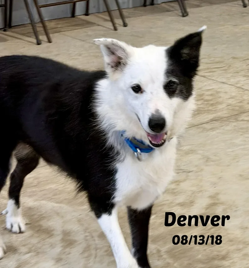 Denver thumbnail 2