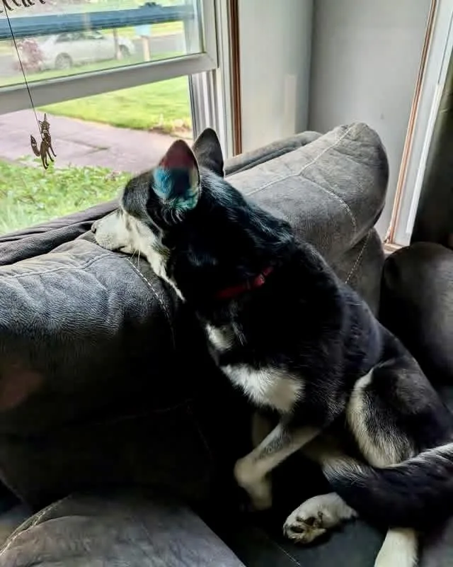 Lexi thumbnail 5