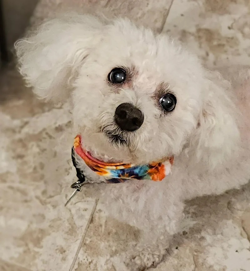 Sadie Mae thumbnail 2