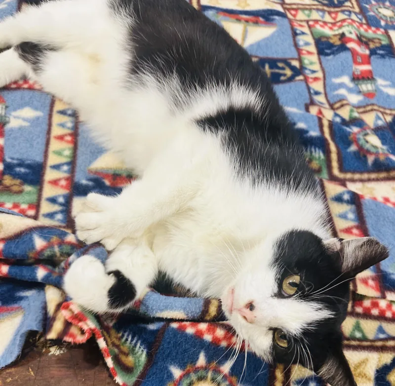 Hercules thumbnail 2