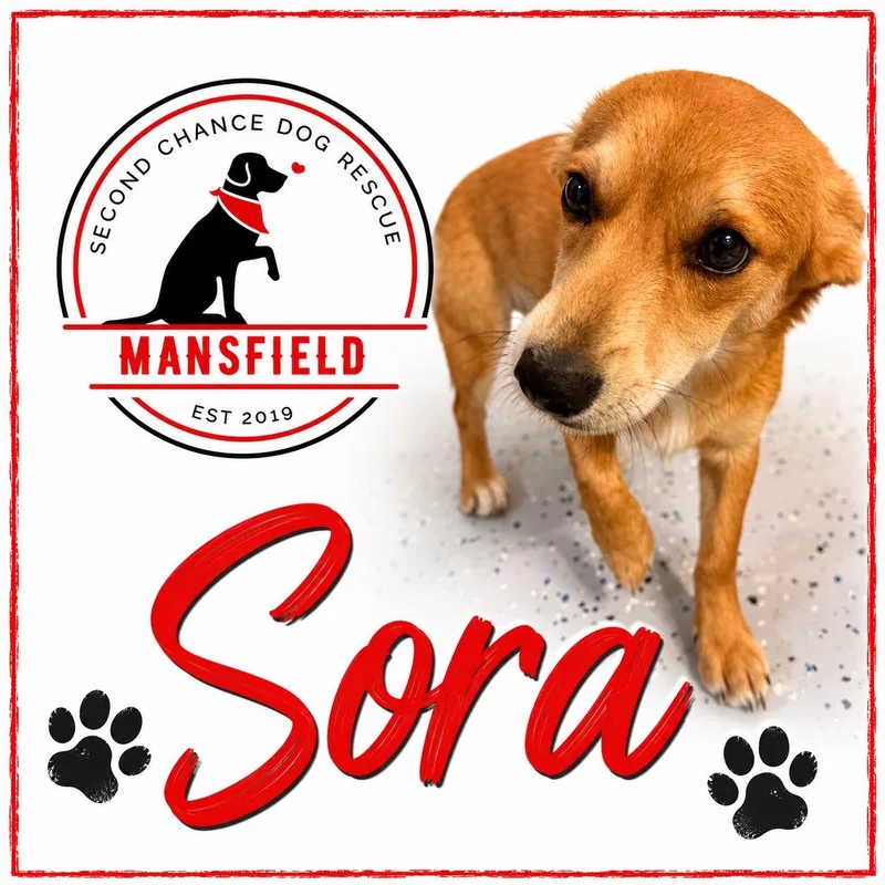 Sora