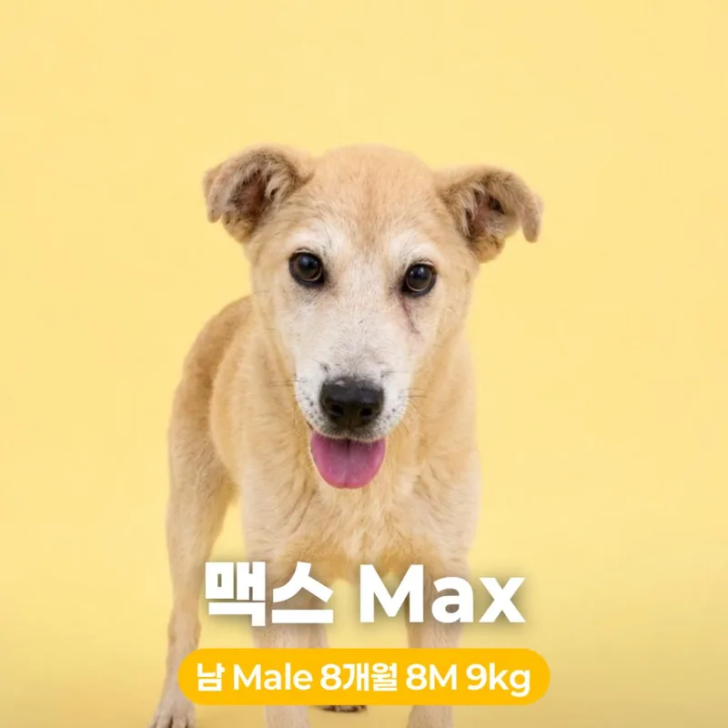 Max