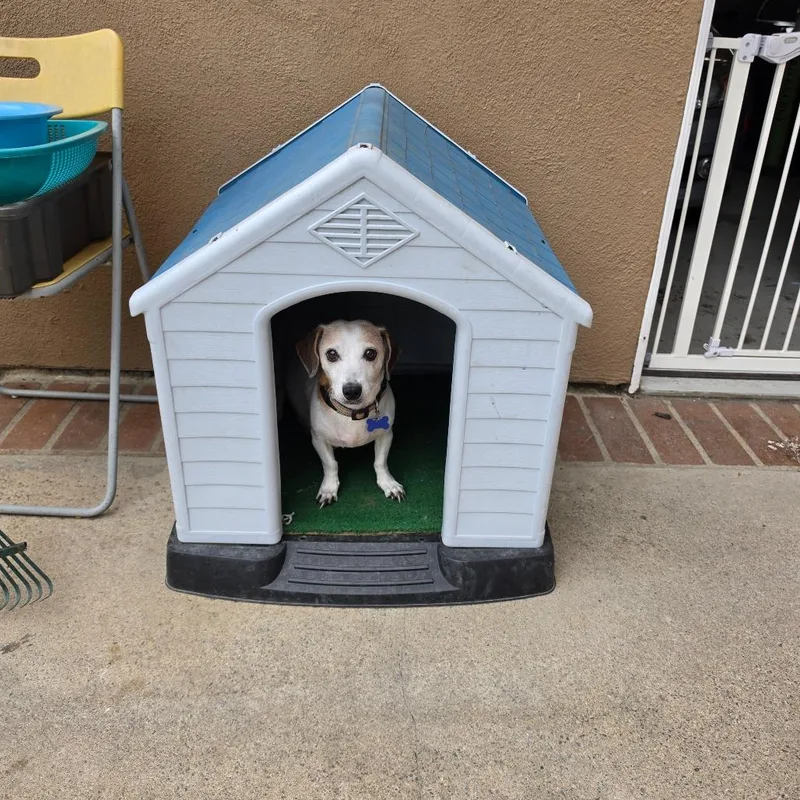 Shyla  Costa Mesa thumbnail 2