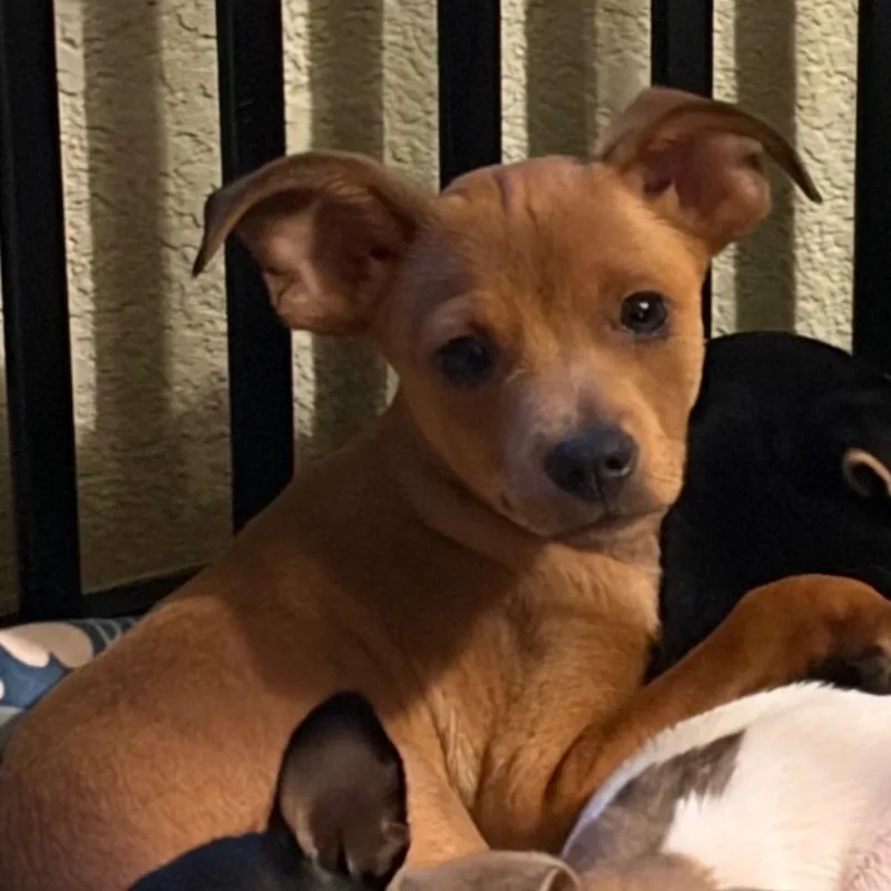 Charlie