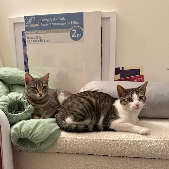 Cia And Luna thumbnail 2