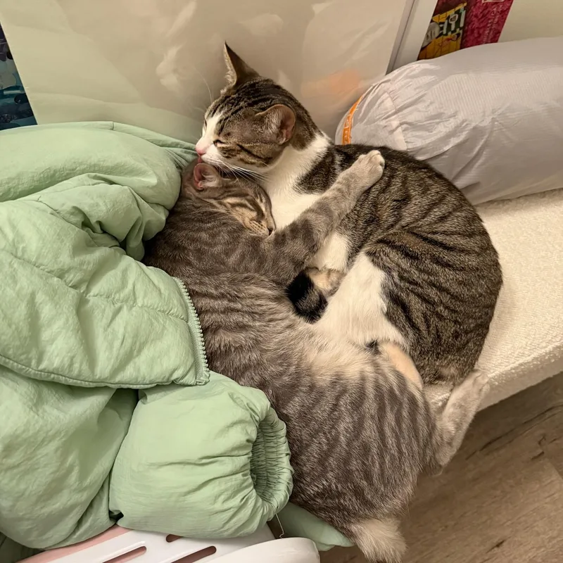 Cia And Luna thumbnail 3