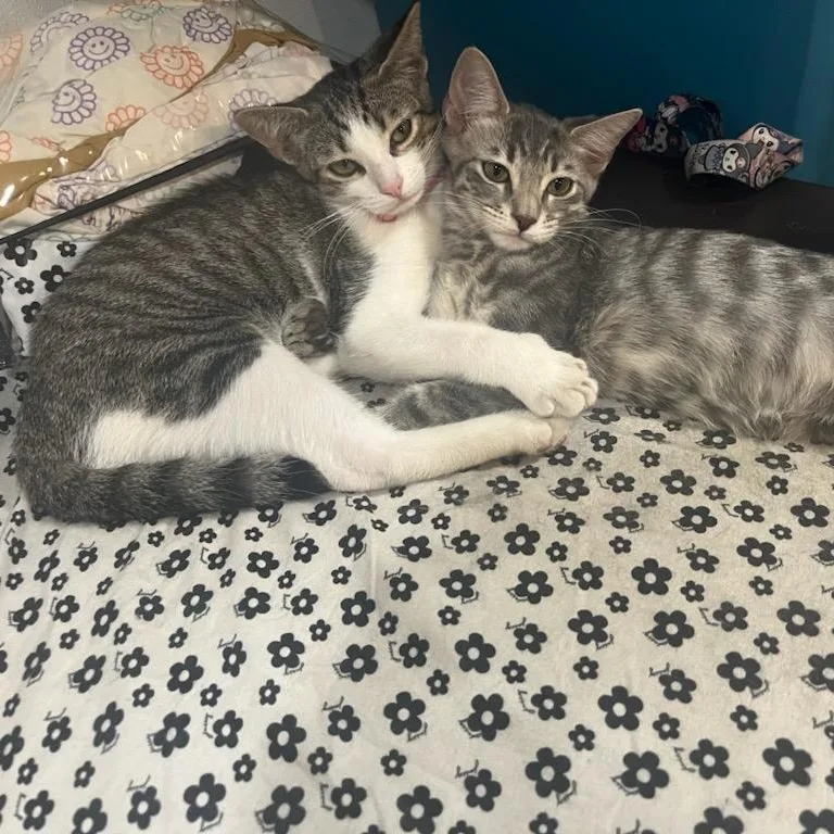 Cia And Luna thumbnail 4