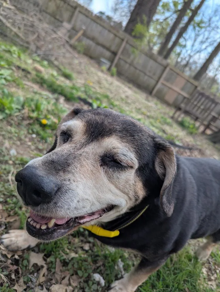 Cd : Abby thumbnail 2