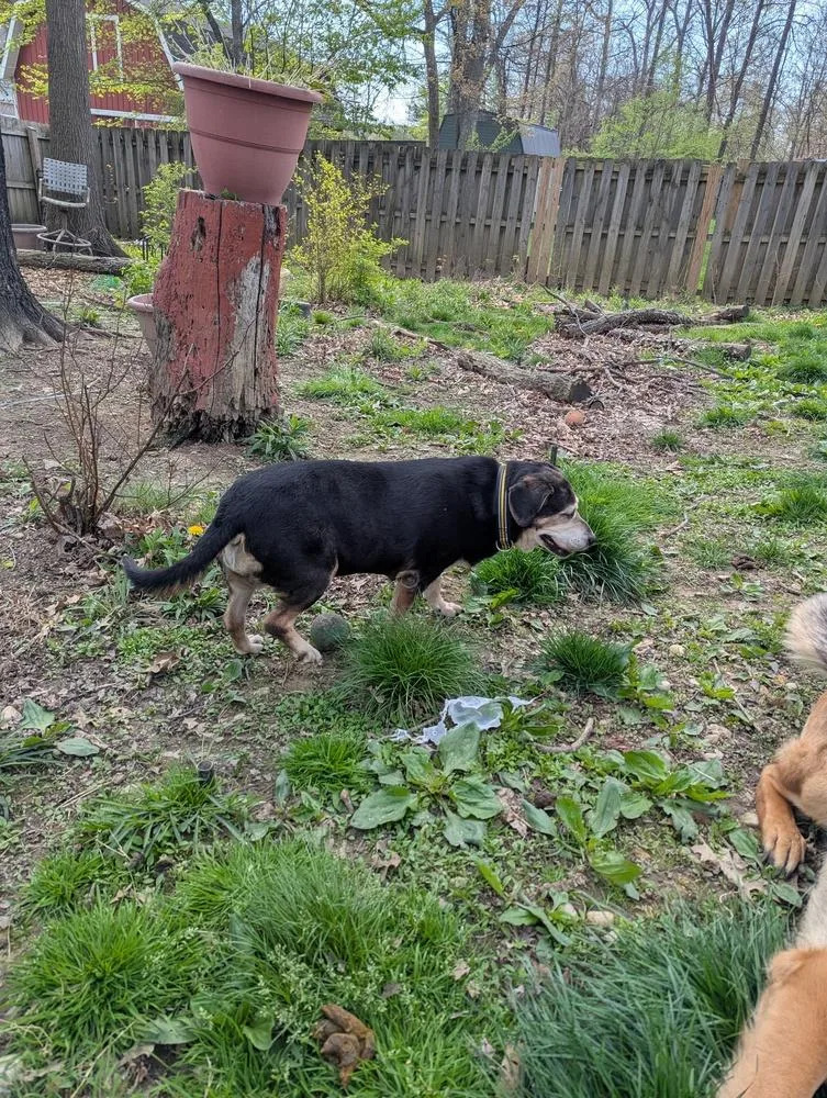 Cd : Abby thumbnail 4