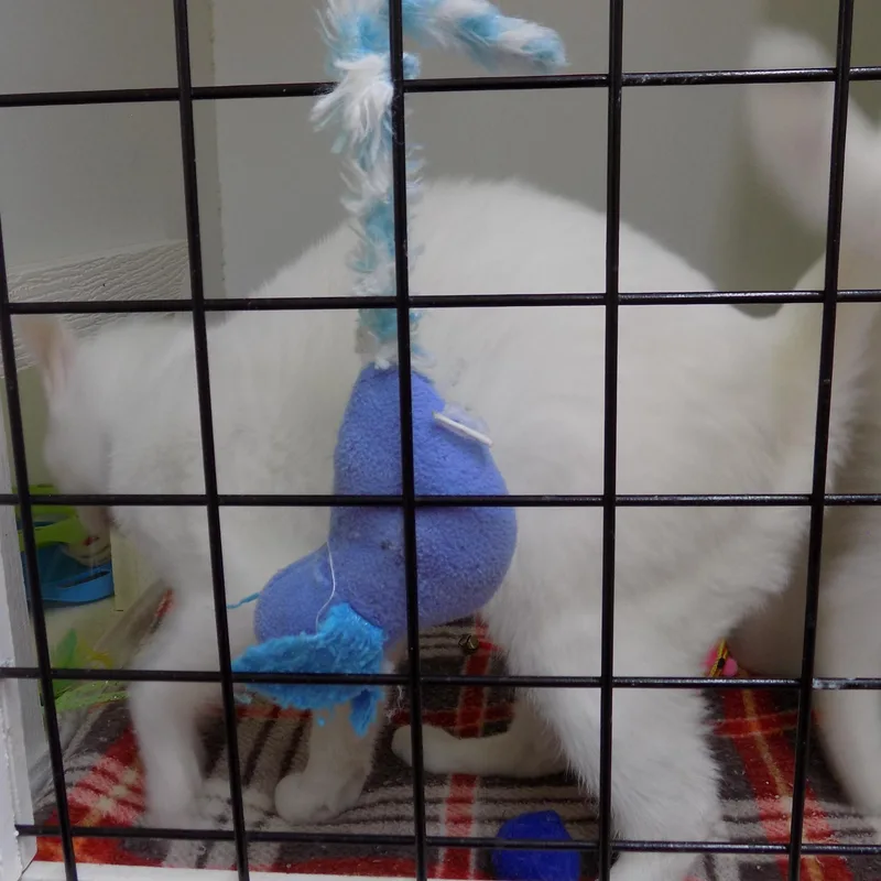 Betty Lue thumbnail 2