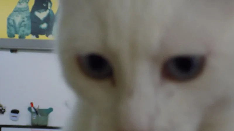 Betty Lue thumbnail 3