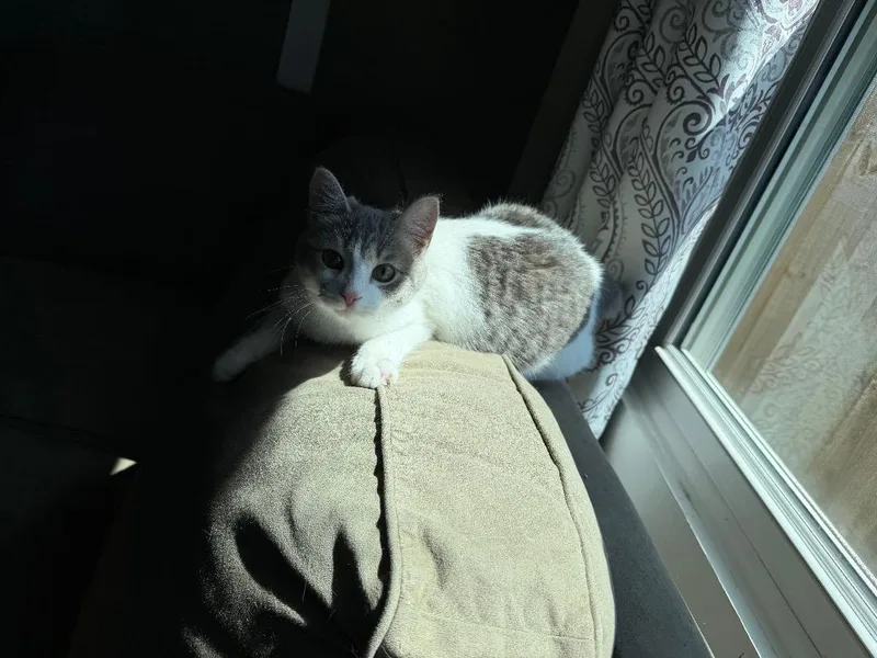 Minnie And Samson thumbnail 4