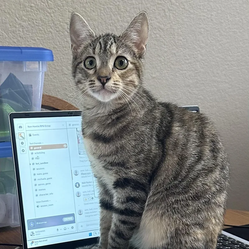 Tipper And Jaebee Indoor thumbnail 2